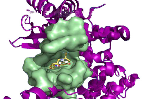 Image for Fluorescent Polylactides with ID of: 3931905