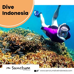 Image for Dive Indonesia with ID of: 3932600
