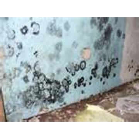Image for Atlantic Contracting & Specialties with ID of: 3934417