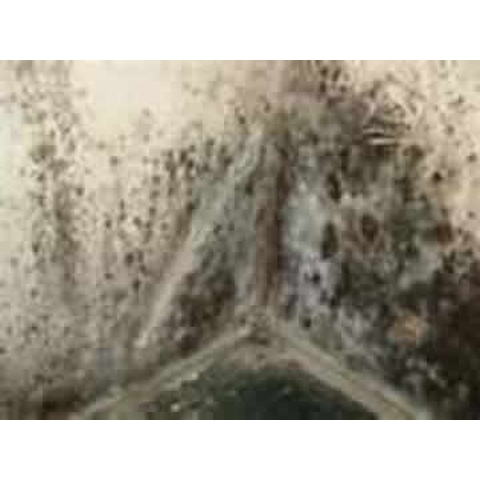 Image for Cornerstone Services Group with ID of: 3934614