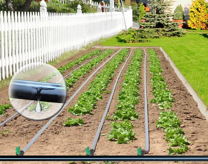 Image for Increase in Crop Yields Expected to Drive Global Agriculture Dripper Market over the Forecast Period: Ken Research with ID of: 3934655