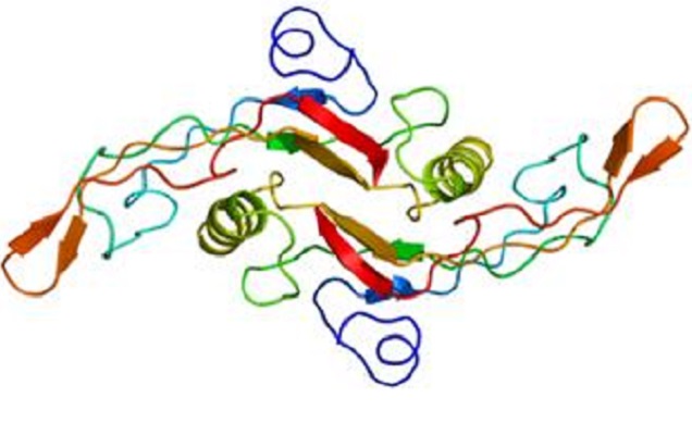 Image for TGF-beta Family with ID of: 3940124