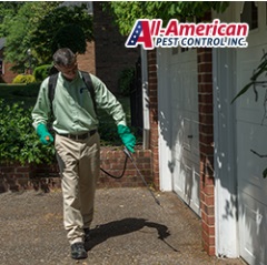 Image for All-American Pest Control with ID of: 3941650