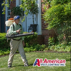 Image for All-American Pest Control with ID of: 3941651