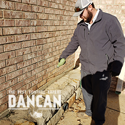 Image for DANCAN The Pest Control Expert with ID of: 3941683