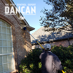 Image for DANCAN The Pest Control Expert with ID of: 3941684