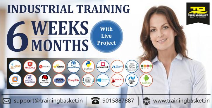 Image for Industrial Training in Noida |Training basket with ID of: 3945845
