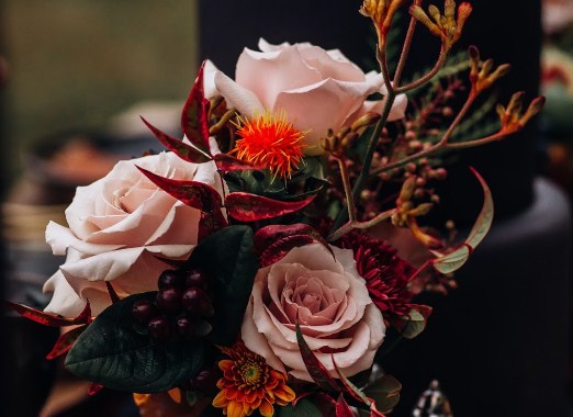 Image for Dezaree Anderson Photography with ID of: 3957673
