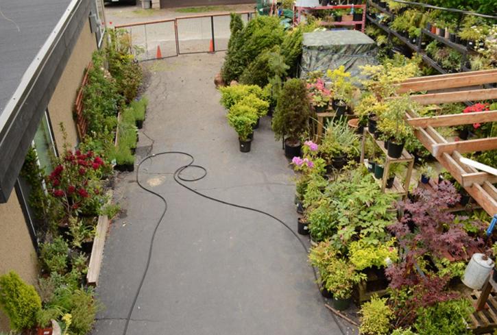 Image for Kathy's Small Garden Company with ID of: 3957739