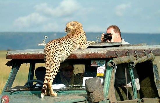 Image for Mombasa Safari Trips with ID of: 3962616