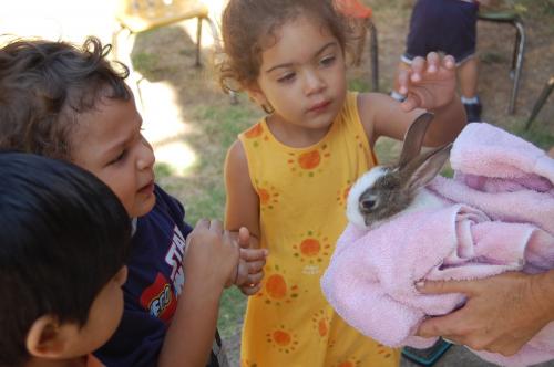 Image for Little Wonders Montessori One with ID of: 3965023
