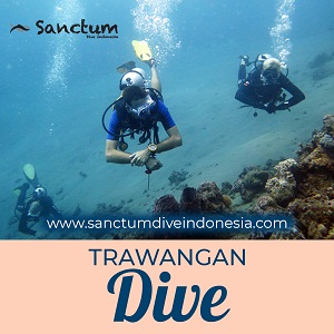 Image for Trawangan Dive with ID of: 3965357