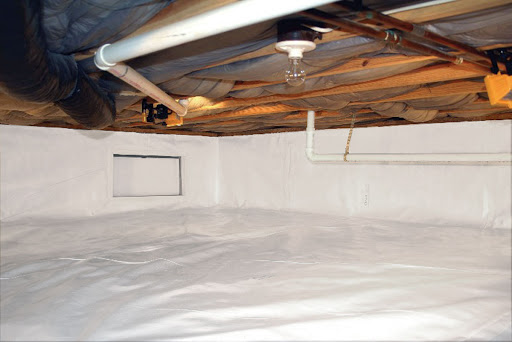 Image for All Pest Control & Solutions with ID of: 3971192