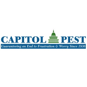 Image for Capitol Pest with ID of: 3971290