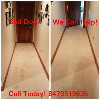 Image for Supreme Cleaning Company with ID of: 3971441