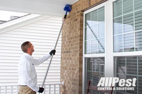 Image for All Pest Control & Solutions with ID of: 3971466