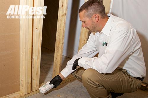 Image for All Pest Control & Solutions with ID of: 3971469