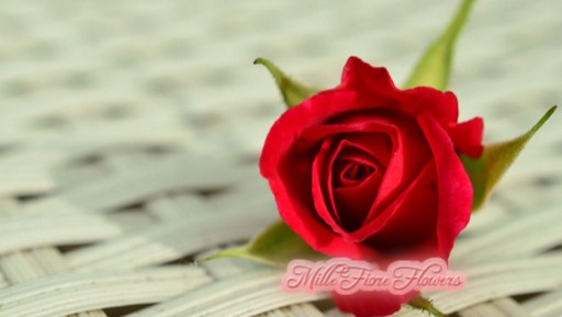 Image for Mille Fiore Flowers with ID of: 3974066