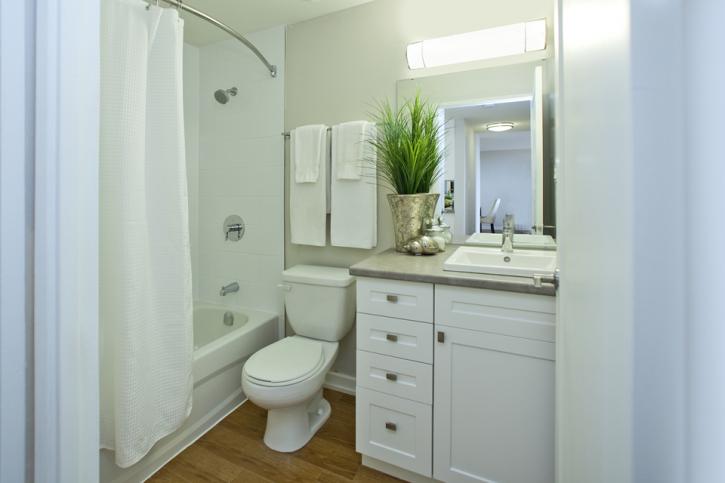 Image for Albany Place Apartments with ID of: 3974978
