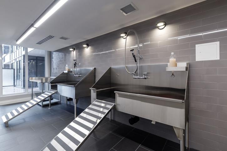 Image for The Taunton Apartments with ID of: 3975341
