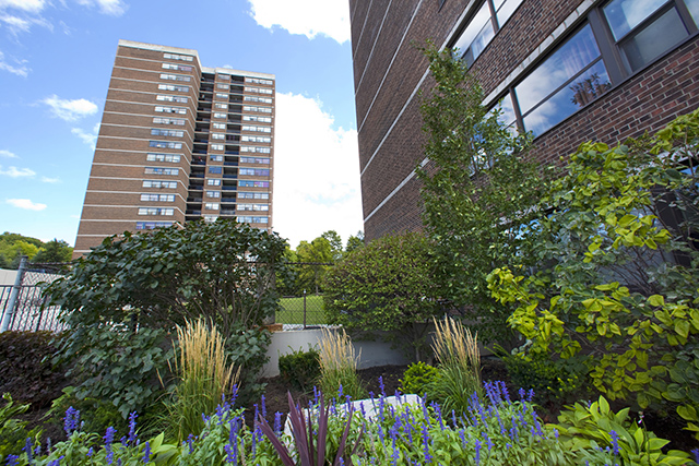 Image for 15 Brookbanks with ID of: 3976337