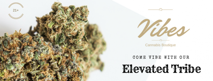 Image for Vibes Cannabis Boutique with ID of: 3976881