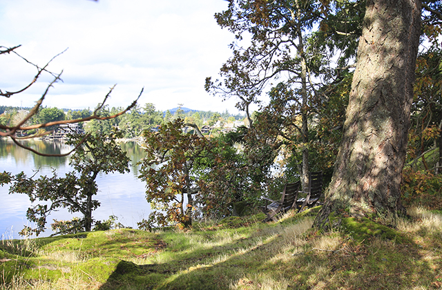 Image for Christie Point with ID of: 3977272