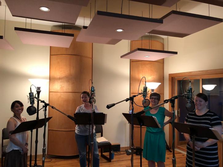 Image for Wild Sound Recording Studio with ID of: 3977322