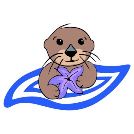 Image for Little Otter Swim School with ID of: 3977480