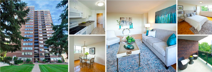 Image for 17 Brookbanks Drive with ID of: 3978929