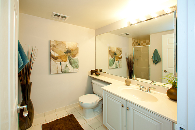 Image for 17 Brookbanks Drive with ID of: 3978933