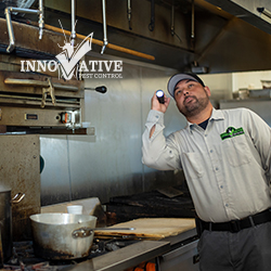 Image for Innovative Pest Control with ID of: 3979237