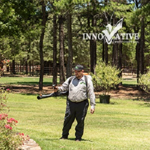 Image for Innovative Pest Control with ID of: 3979676