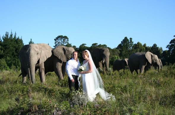 Image for Wedding Holidays in Africa with ID of: 3980269