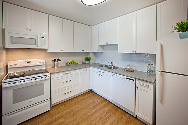 Image for St. Augustine Place with ID of: 3984290
