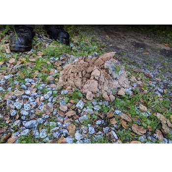 Image for Smith's Gopher Trapping Service with ID of: 3985768