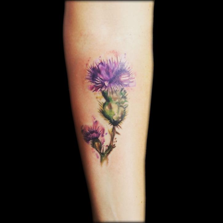 Image for Minneapolis Tattoo Shop with ID of: 3986922