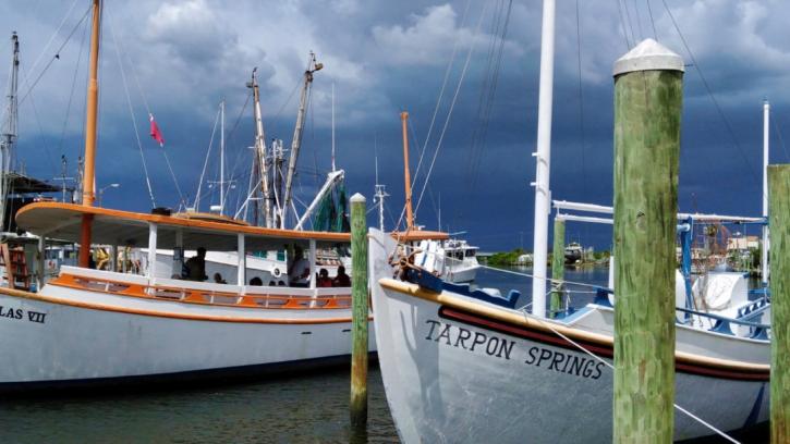 Image for Explore Tarpon Springs with ID of: 3987895