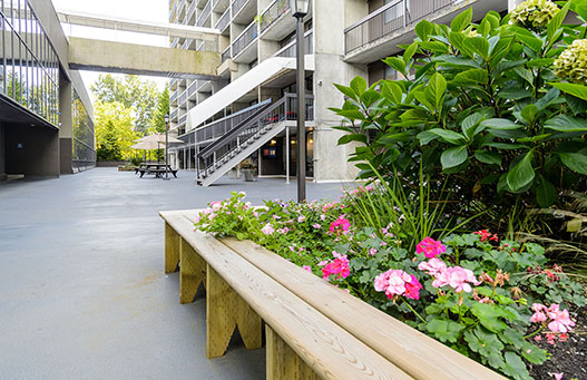 Image for Surrey Village with ID of: 3988122