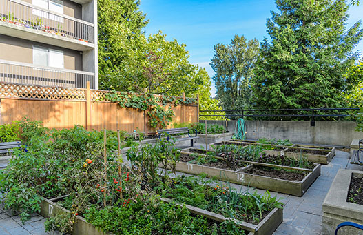 Image for Surrey Village with ID of: 3988161