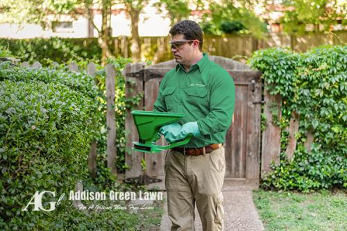 Image for Addison Green Lawn with ID of: 3988518