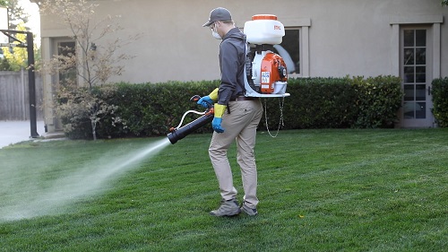 Image for Hawx Pest Control with ID of: 3991058