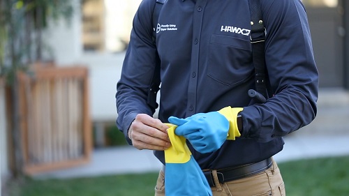 Image for Hawx Pest Control with ID of: 3991061