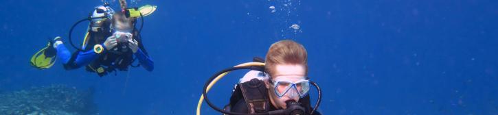 Image for Gili Dive with ID of: 3991536