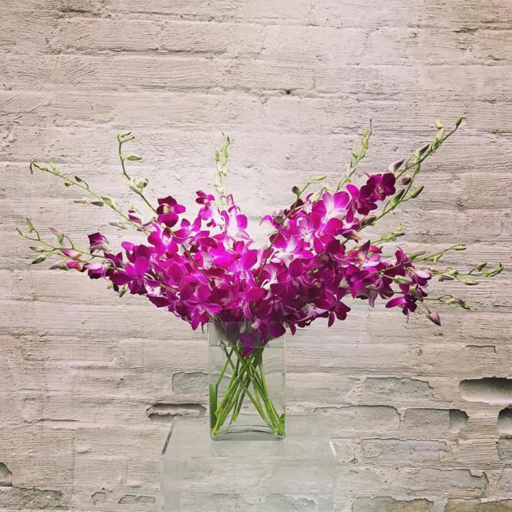 Image for Lake Harriet Florist with ID of: 3993658