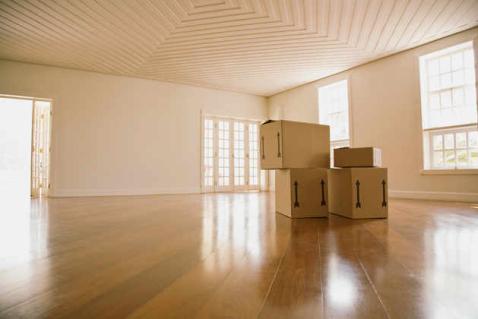Image for Movers Expanding to Tampa with ID of: 3994815
