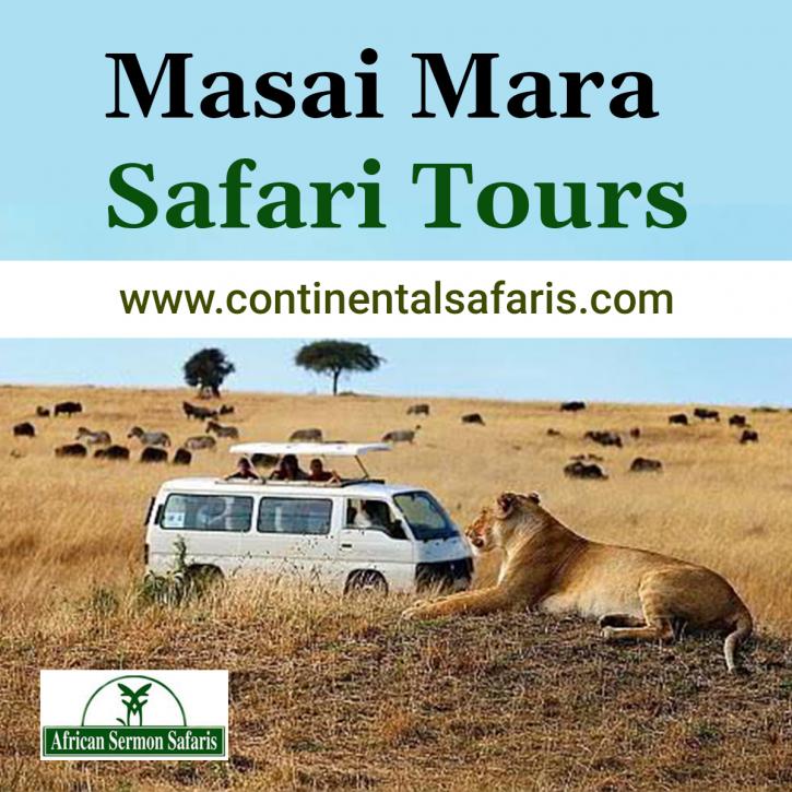 Image for Masai Mara Safari Tours with ID of: 3995562