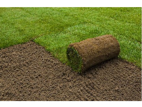 Image for TLC Landscapes LLC with ID of: 4003139
