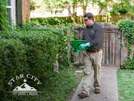 Image for Star City pest Control with ID of: 4003856