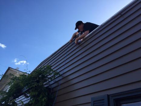 Image for Ace Pro Services, LLC with ID of: 4006930
